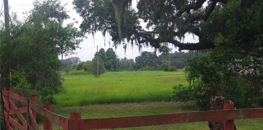 Terrain à Seffner, Floride № 1817504