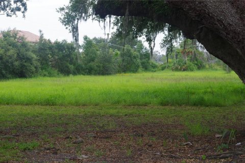 Terrain à vendre à Seffner, Floride № 1817504 - photo 8