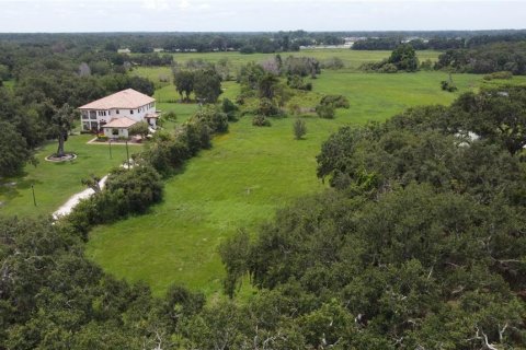 Terrain à vendre à Seffner, Floride № 1817504 - photo 11