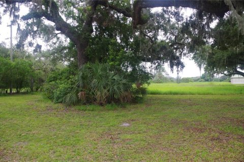 Terrain à vendre à Seffner, Floride № 1817504 - photo 5