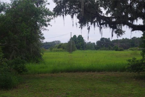 Terrain à vendre à Seffner, Floride № 1817504 - photo 4