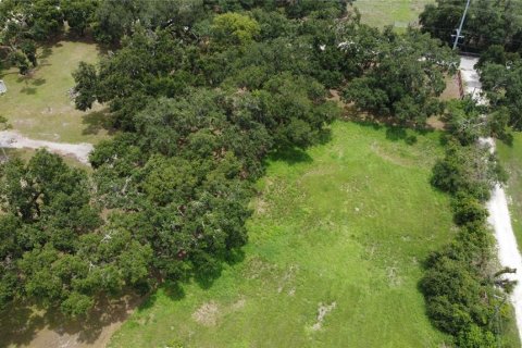 Terrain à vendre à Seffner, Floride № 1817504 - photo 10