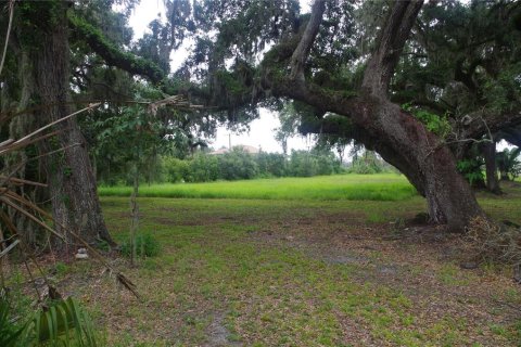 Terrain à vendre à Seffner, Floride № 1817504 - photo 6