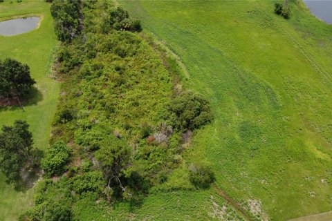 Land in Seffner, Florida № 1817504 - photo 18