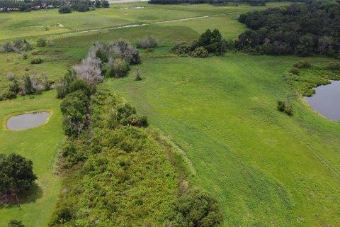 Terreno en venta en Seffner, Florida № 1817504 - foto 14