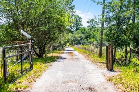 House in DeLand, Florida 3 bedrooms, 234.86 sq.m. № 1754986 - photo 7