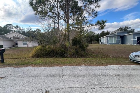 Land in Kissimmee, Florida № 2165500 - photo 2
