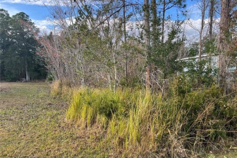 Land in Kissimmee, Florida № 2165500