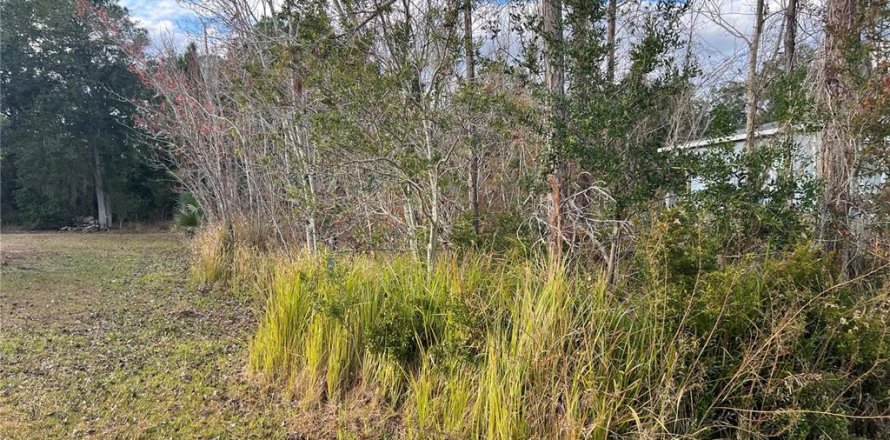 Land in Kissimmee, Florida № 2165500