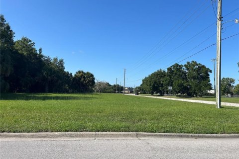 Terrain à vendre à Ocala, Floride № 1873051 - photo 4