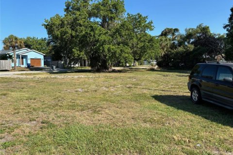 Land in Sarasota, Florida № 1815245 - photo 11