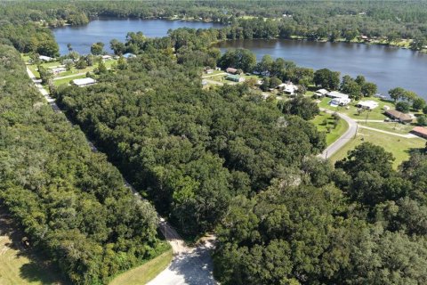 Land in Interlachen, Florida № 2373992 - photo 20