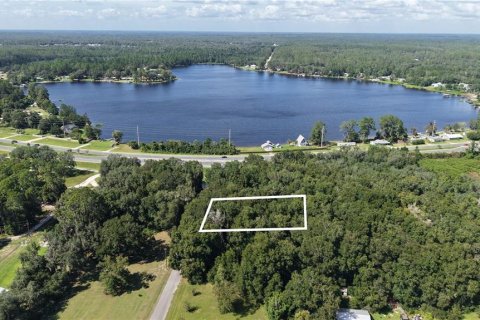Land in Interlachen, Florida № 2373992 - photo 3