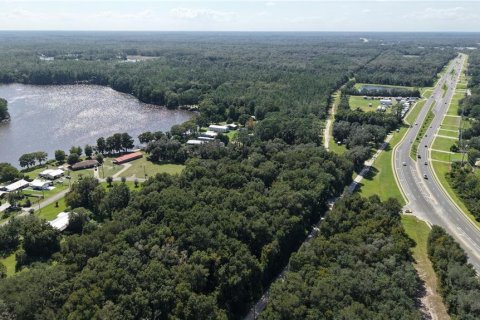 Land in Interlachen, Florida № 2373992 - photo 25