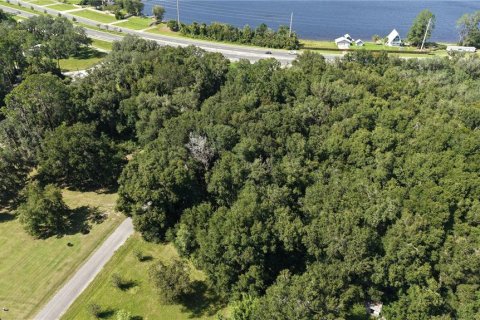 Land in Interlachen, Florida № 2373992 - photo 17