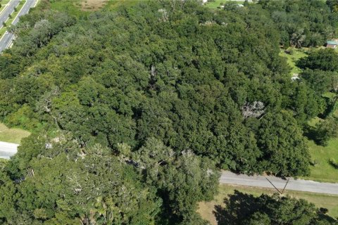 Land in Interlachen, Florida № 2373992 - photo 14