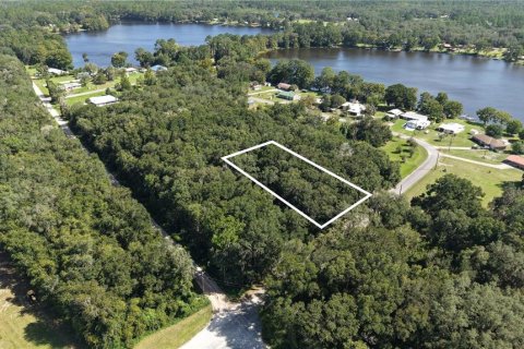 Land in Interlachen, Florida № 2373992 - photo 21