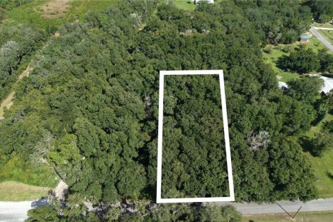 Land in Interlachen, Florida № 2373992 - photo 2