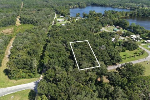 Land in Interlachen, Florida № 2373992