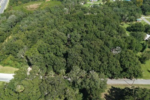 Land in Interlachen, Florida № 2373992 - photo 13