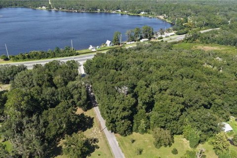 Land in Interlachen, Florida № 2373992 - photo 18