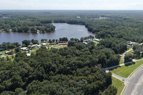 Land in Interlachen, Florida № 2373992 - photo 24