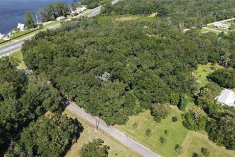 Land in Interlachen, Florida № 2373992 - photo 15