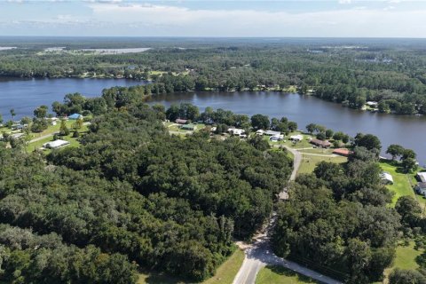 Land in Interlachen, Florida № 2373992 - photo 22