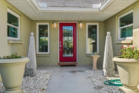 House in Sun City Center, Florida 3 bedrooms, 216.18 sq.m. № 1801846 - photo 8