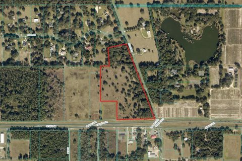 Land in Ocala, Florida № 1554211 - photo 3