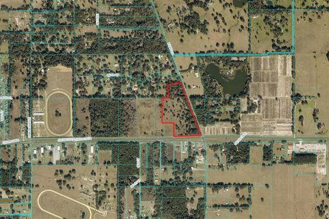 Land in Ocala, Florida № 1554211 - photo 2