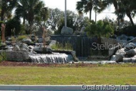 Terrain à vendre à Ocala, Floride № 1903390 - photo 3