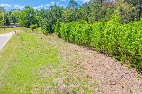 Terreno en venta en Lake Butler, Florida № 2135656 - foto 2