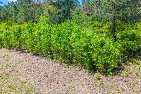 Terreno en venta en Lake Butler, Florida № 2135656 - foto 1