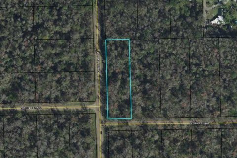 Terrain à Bunnell, Floride № 2235165