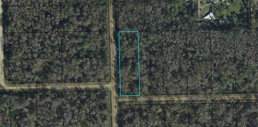 Terrain à Bunnell, Floride № 2235165