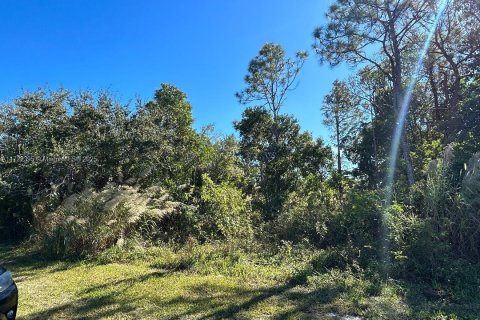 Land in Miami-Dade, Florida № 1860064 - photo 2