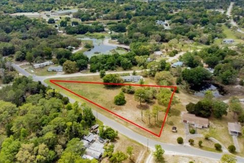 Land in Weeki Wachee, Florida № 1870944 - photo 2