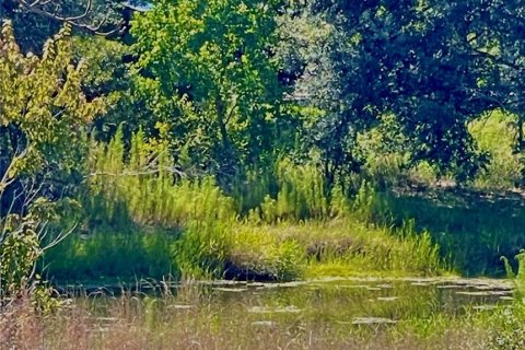 Land in Weeki Wachee, Florida № 1870944 - photo 6