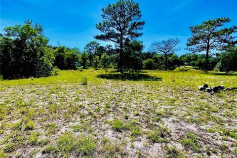 Land in Weeki Wachee, Florida № 1870944 - photo 7