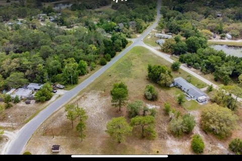 Land in Weeki Wachee, Florida № 1870944 - photo 3