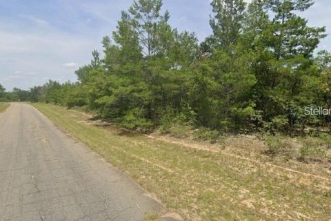 Land in Chipley, Florida № 2226970