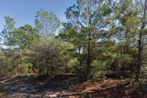 Land in Chipley, Florida № 2226970 - photo 2