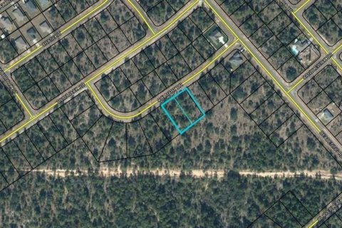 Land in Chipley, Florida № 2226970 - photo 3
