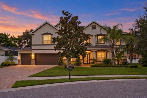 Villa ou maison à Tampa, Floride 6 chambres, 456.89 m2 № 2405475
