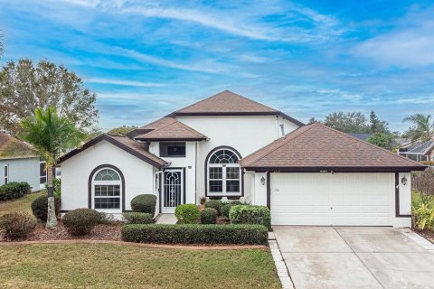 House in Brandon, Florida 4 bedrooms, 219.81 sq.m. № 1528361 - photo 1