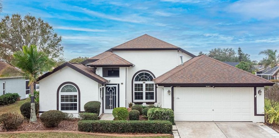 House in Brandon, Florida 4 bedrooms, 219.81 sq.m. № 1528361