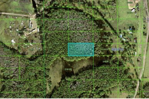Terreno en Polk City, Florida № 2160741
