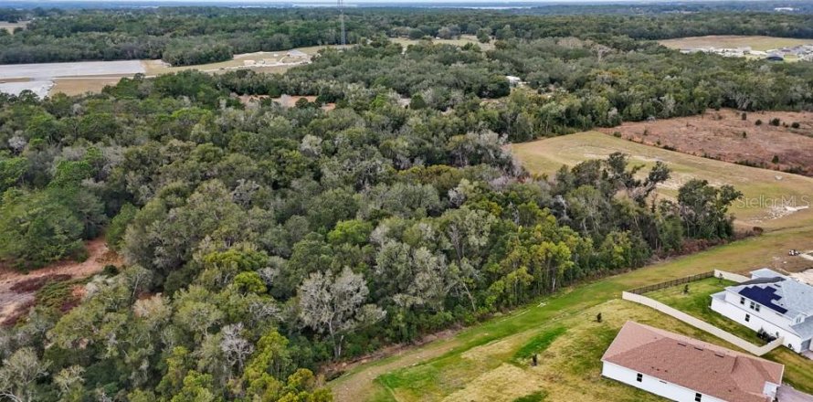 Terrain à Mount Dora, Floride № 2109220