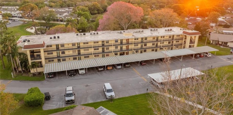 Condominio en Dunedin, Florida, 2 dormitorios  № 2095759